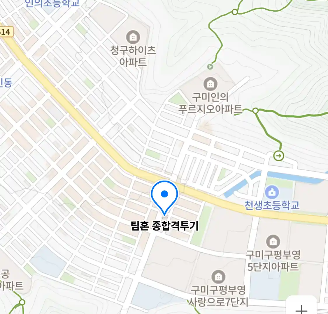 팀혼 종합격투기