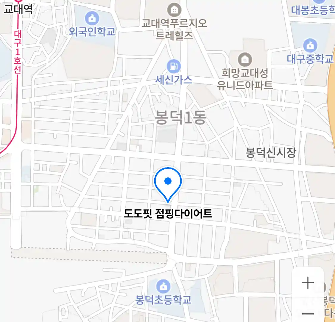 도도핏 점핑다이어트