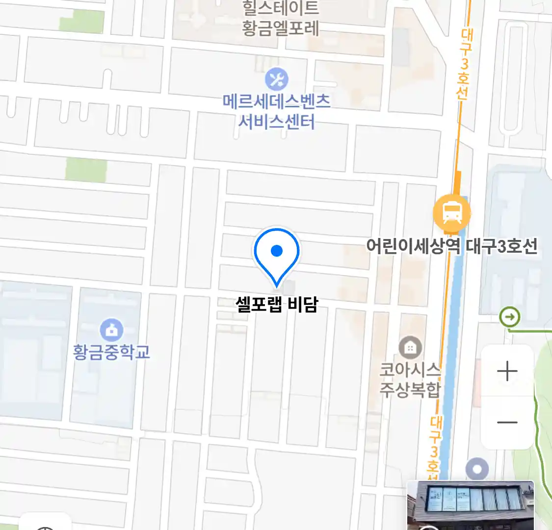 셀포랩 비담