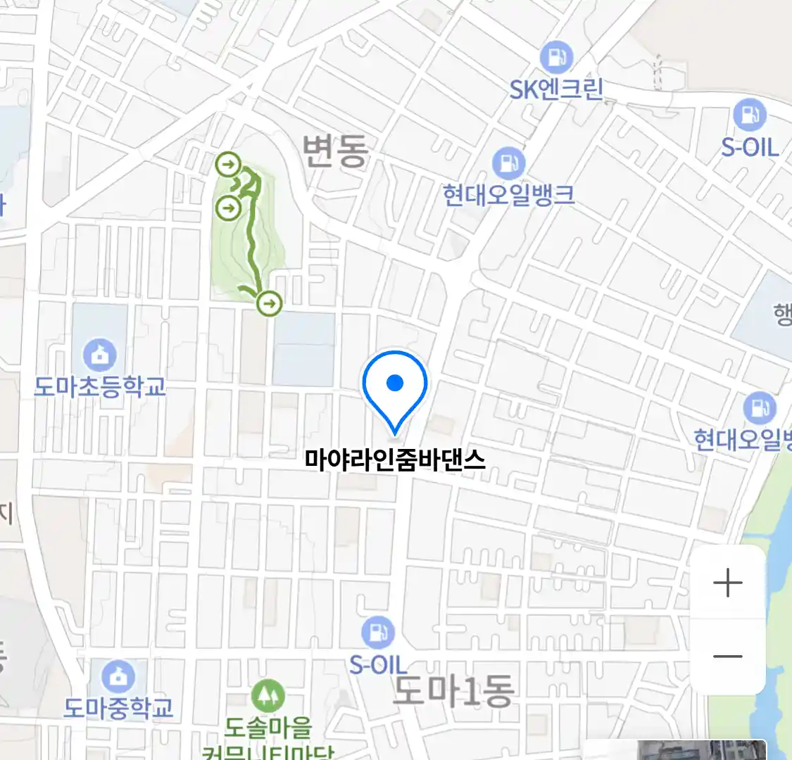 마야라인줌바댄스