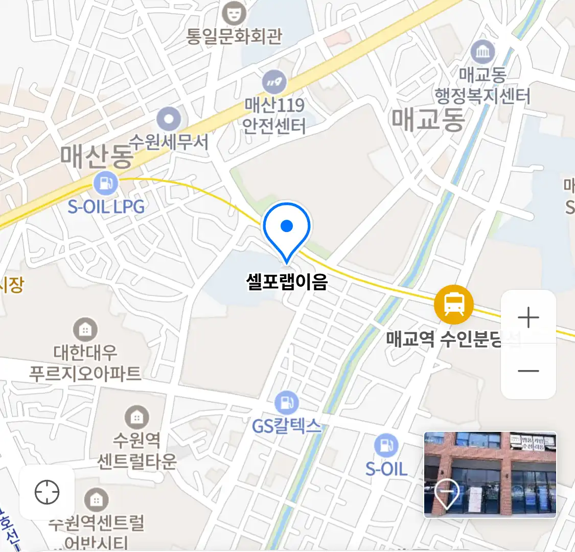 셀포랩이음