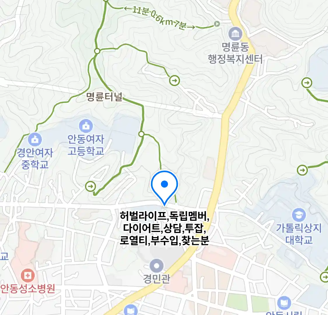 허벌라이프,독립멤버,다이어트,상담,투잡,로열티,부수입,찾는분