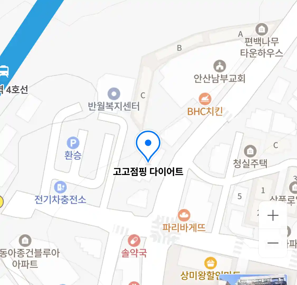 고고점핑 다이어트