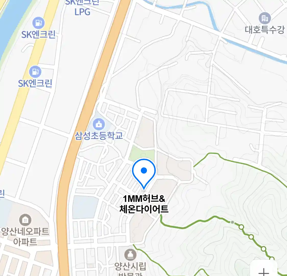 1MM허브&체온다이어트