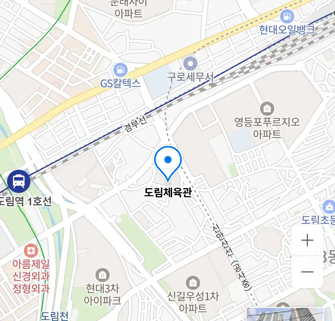 도림체육관 위치