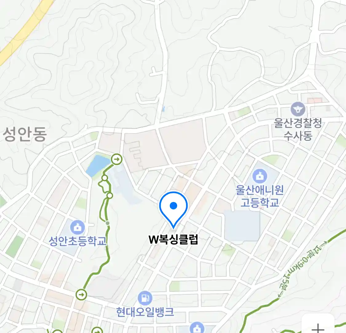 W복싱클럽