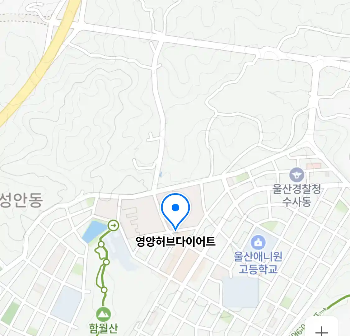 영양허브다이어트