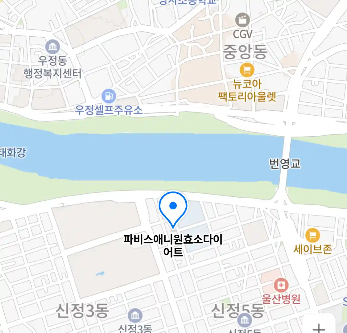 파비스애니원효소다이어트