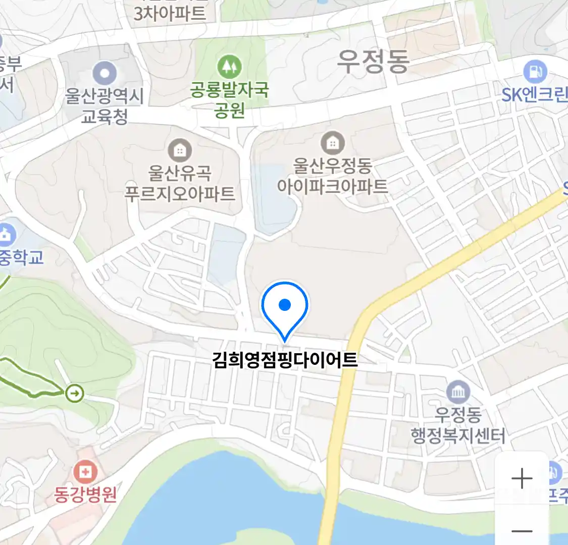 김희영점핑다이어트