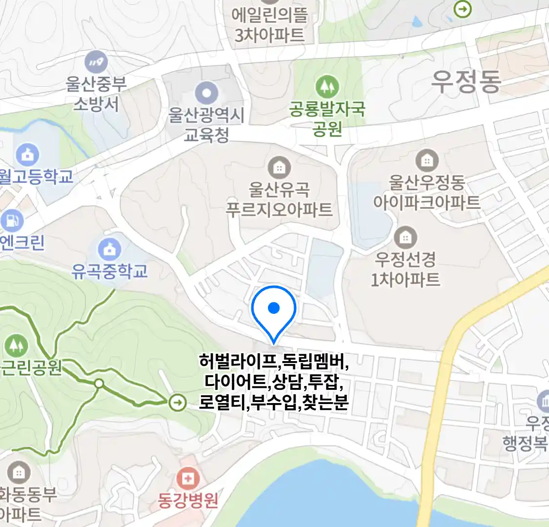 허벌라이프,독립멤버,다이어트,상담,투잡,로열티,부수입,찾는분