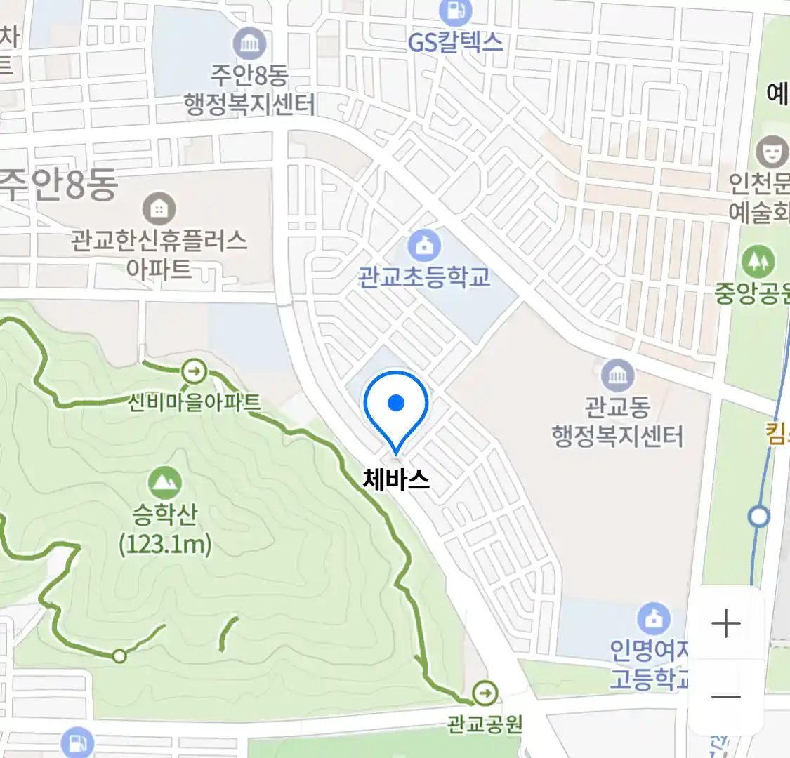 체바스