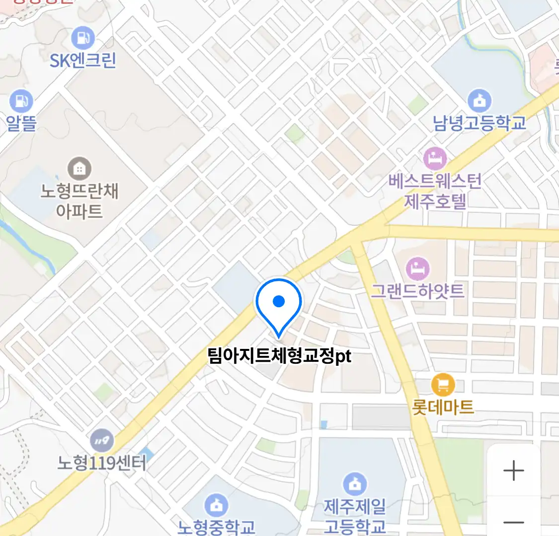 팀아지트체형교정pt