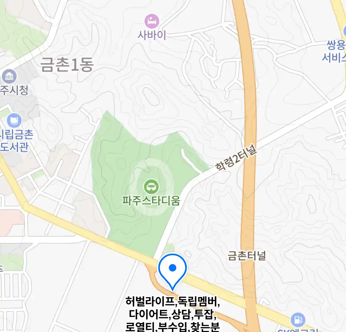 허벌라이프 독립멤버 상담