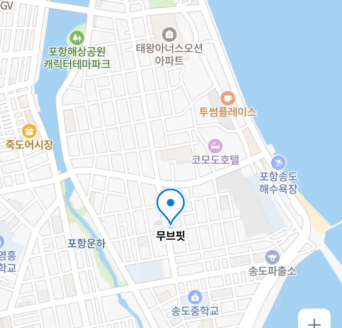 무브핏