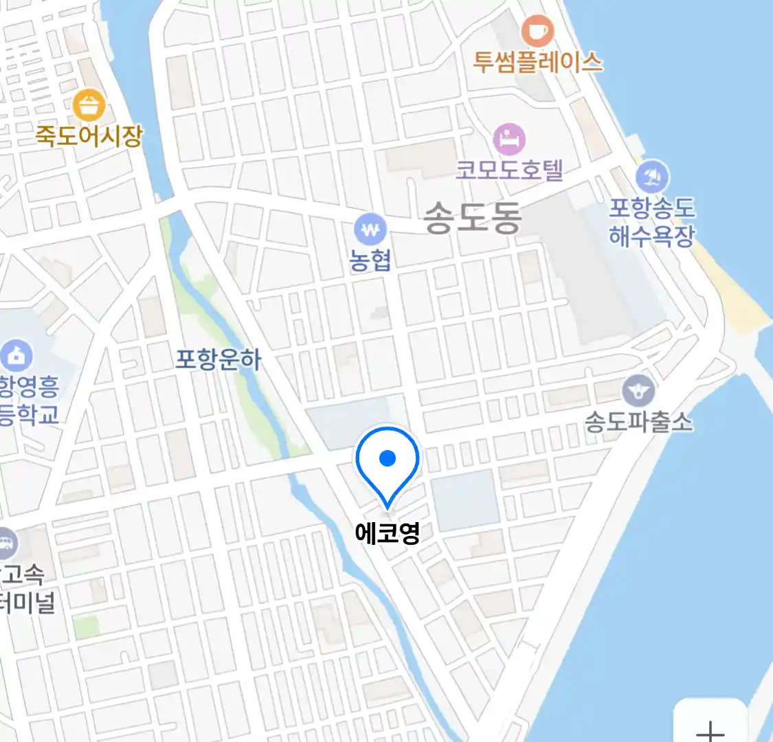 에코영
