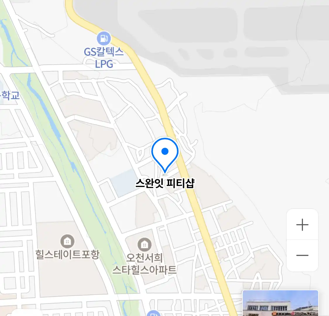 스완잇 피티샵
