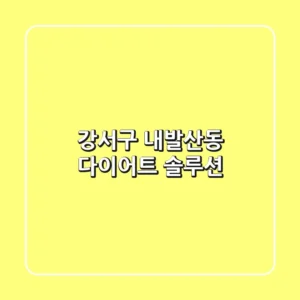 강서구 내발산동 다이어트 솔루션