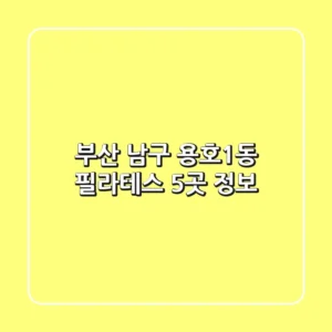 부산 남구 용호1동 필라테스 5곳 정보