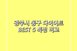 광주시 동구 다이어트 BEST 5 특징 비교