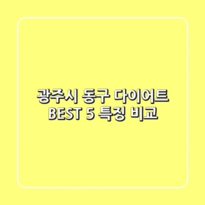 광주시 동구 다이어트 BEST 5 특징 비교