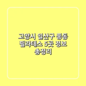 고양시 일산구 풍동 필라테스 5곳 정보 총정리