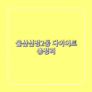 울산신정2동 다이어트 총정리