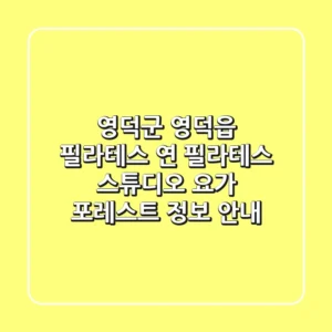 영덕군 영덕읍 필라테스: 연 필라테스 스튜디오 & 요가 포레스트 정보 안내