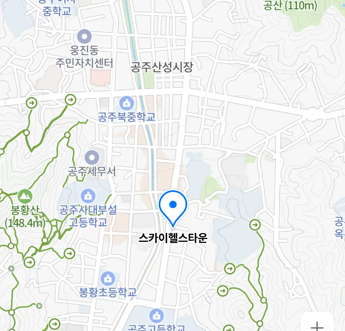 스카이헬스타운 위치