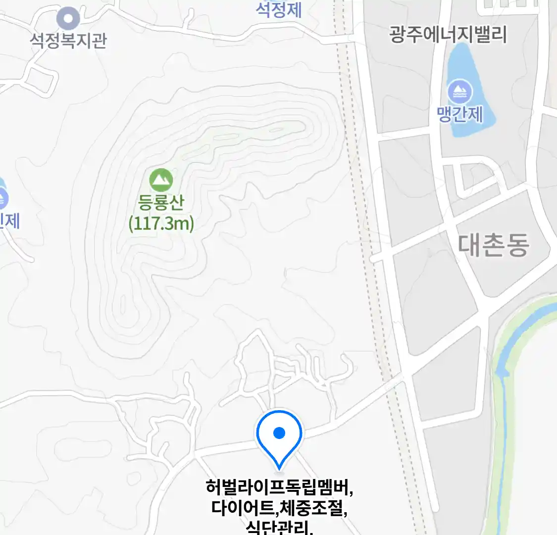 허벌라이프독립멤버,다이어트,체중조절,식단관리,단백질쉐이크