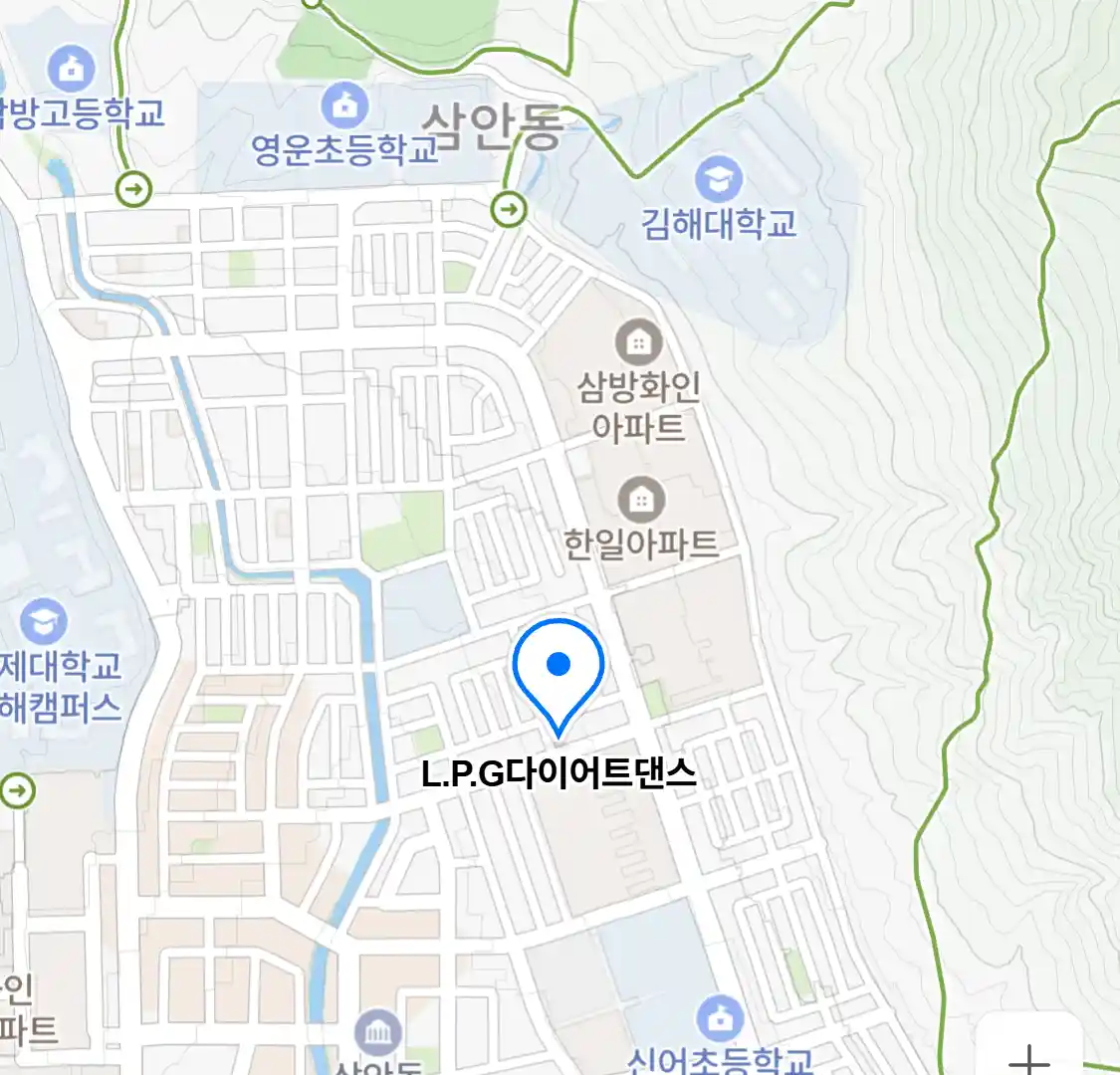 L.P.G다이어트댄스