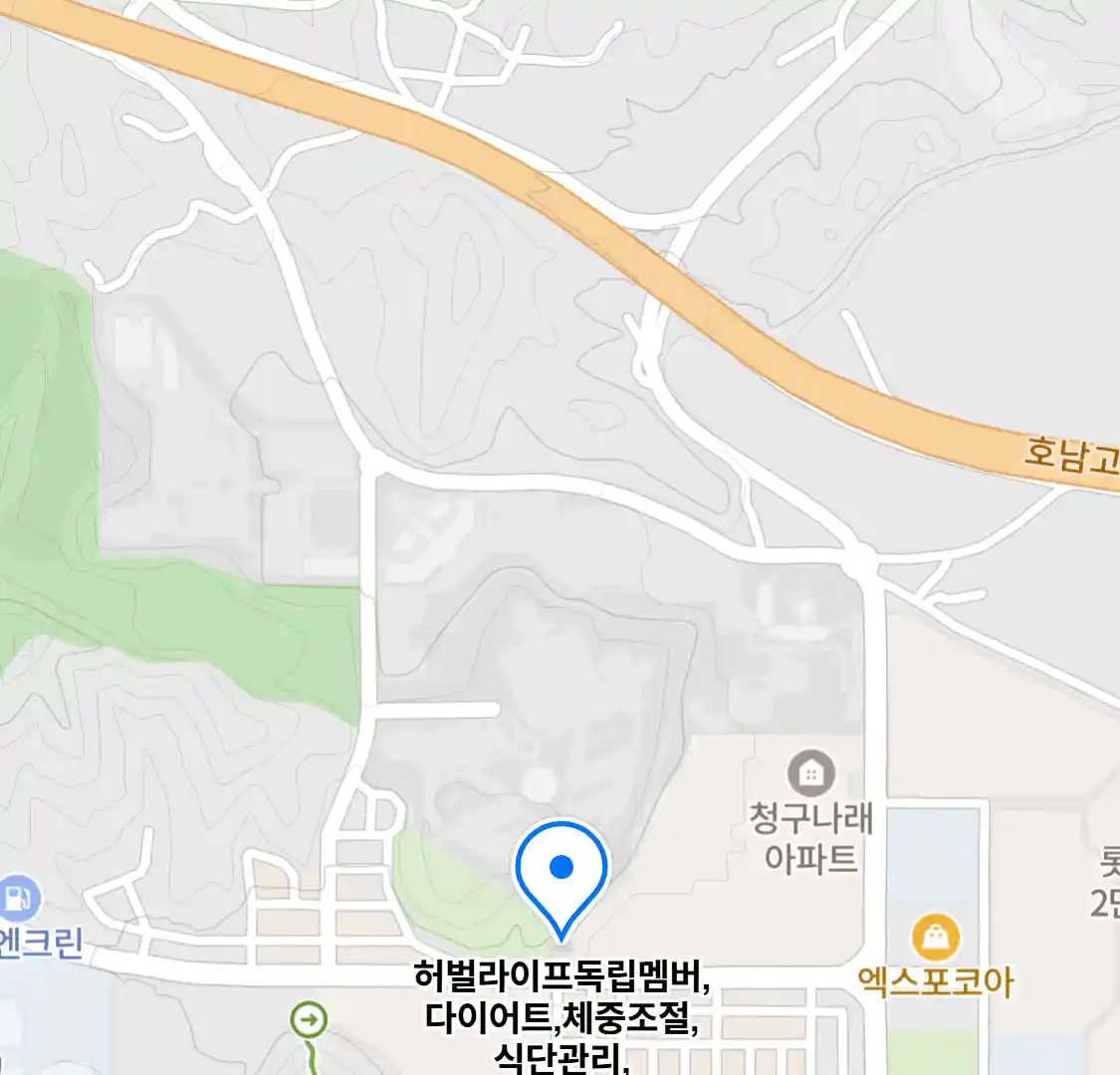 허벌라이프독립멤버,다이어트,체중조절,식단관리,단백질쉐이크