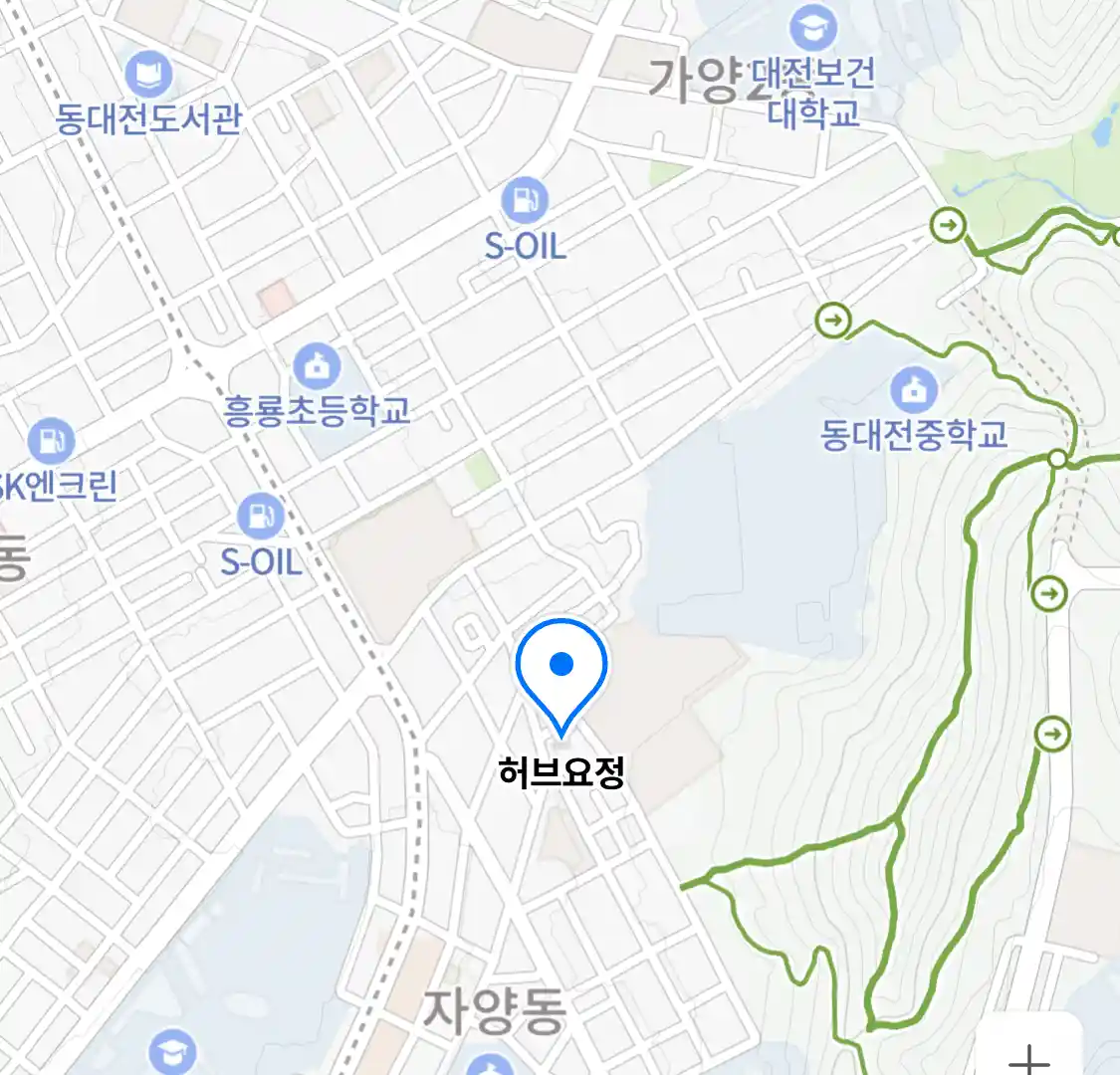 허브요정
