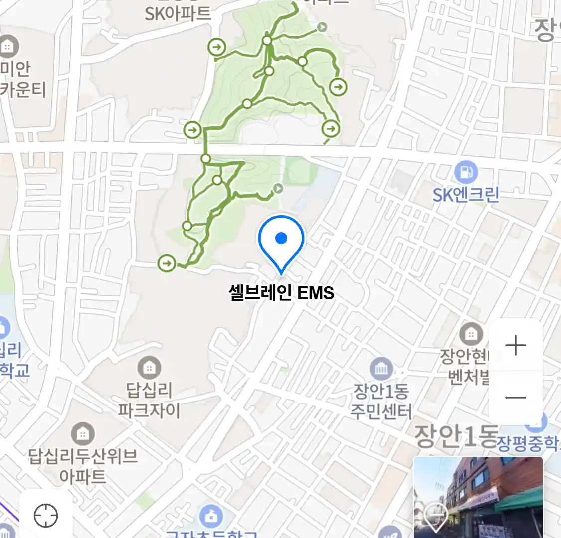 셀브레인 EMS