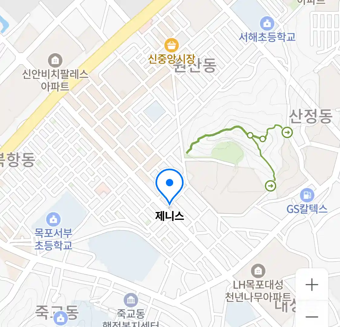 제니스 위치