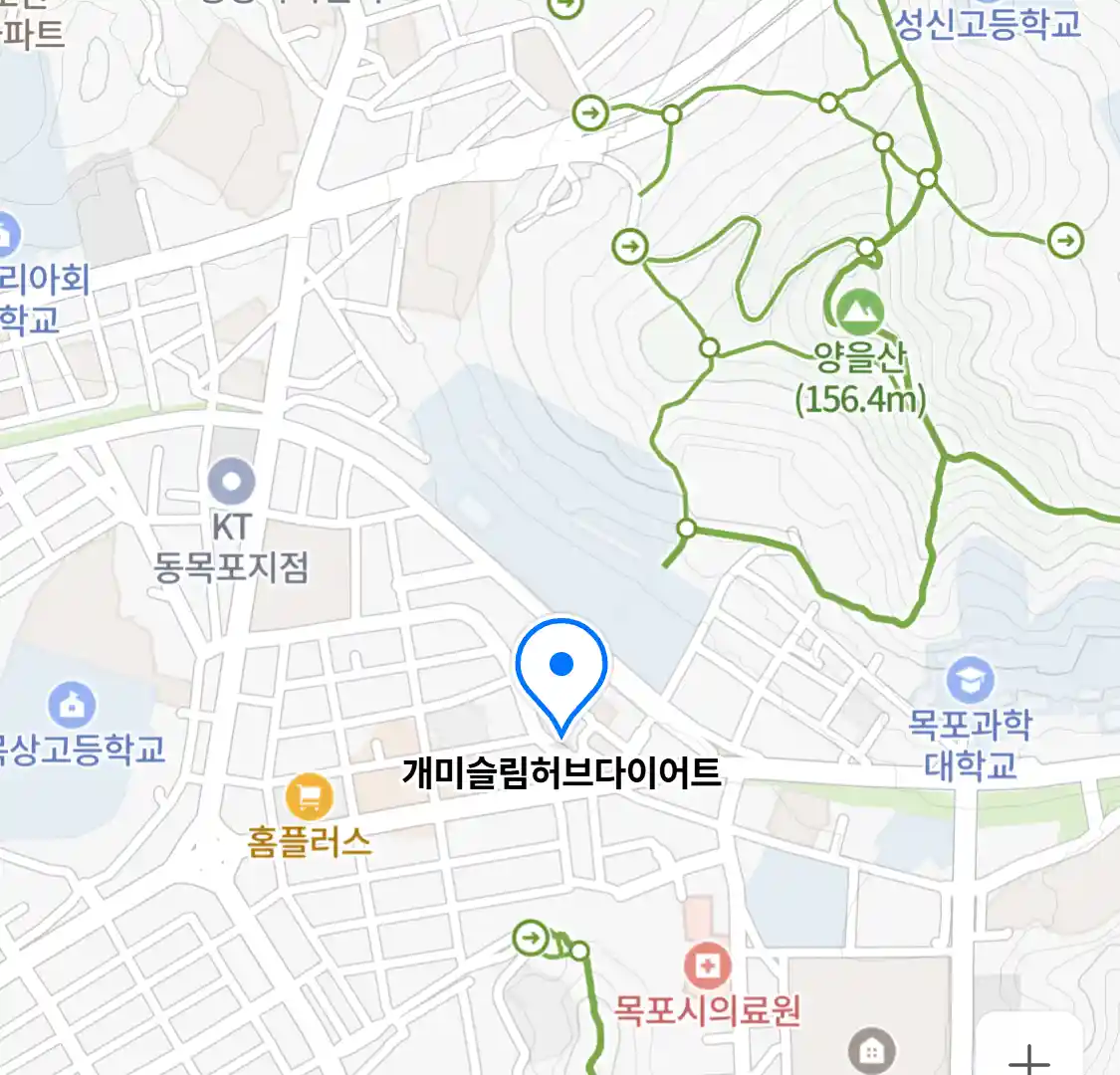 개미슬림허브다이어트
