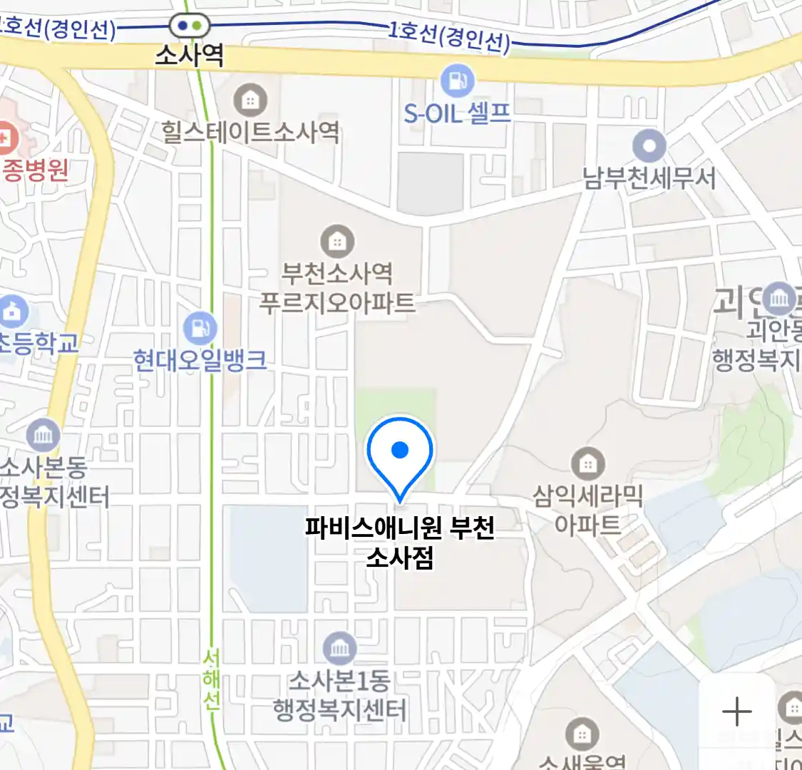 파비스애니원 부천 소사점