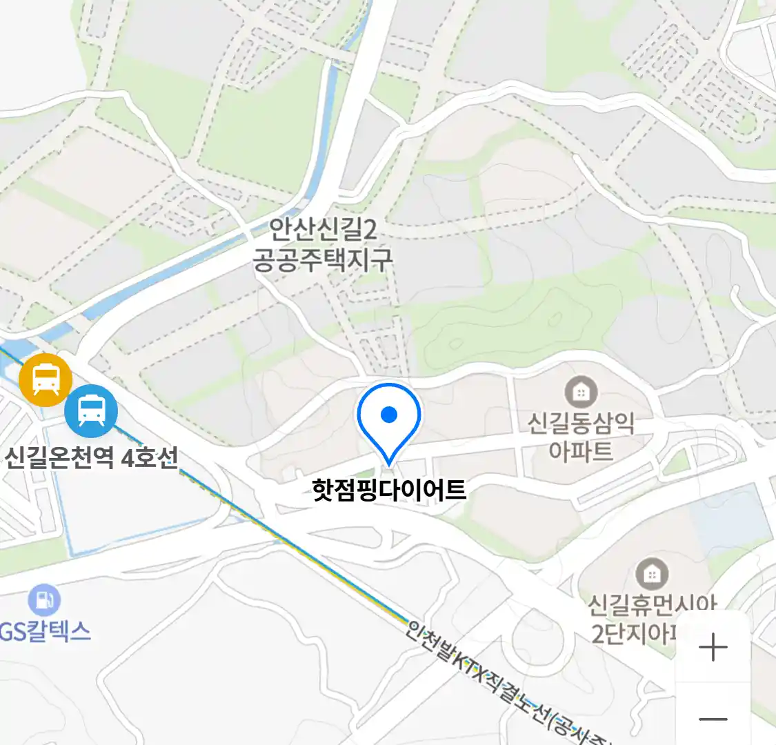 핫점핑다이어트