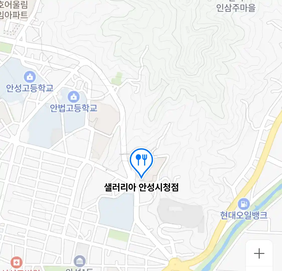샐러리아 안성시청점