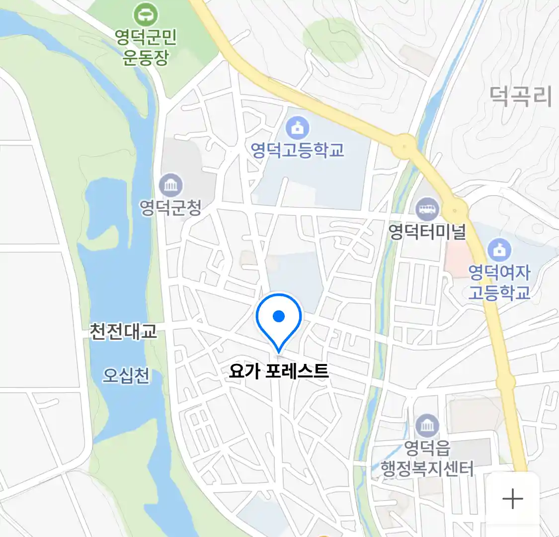 요가 포레스트 위치