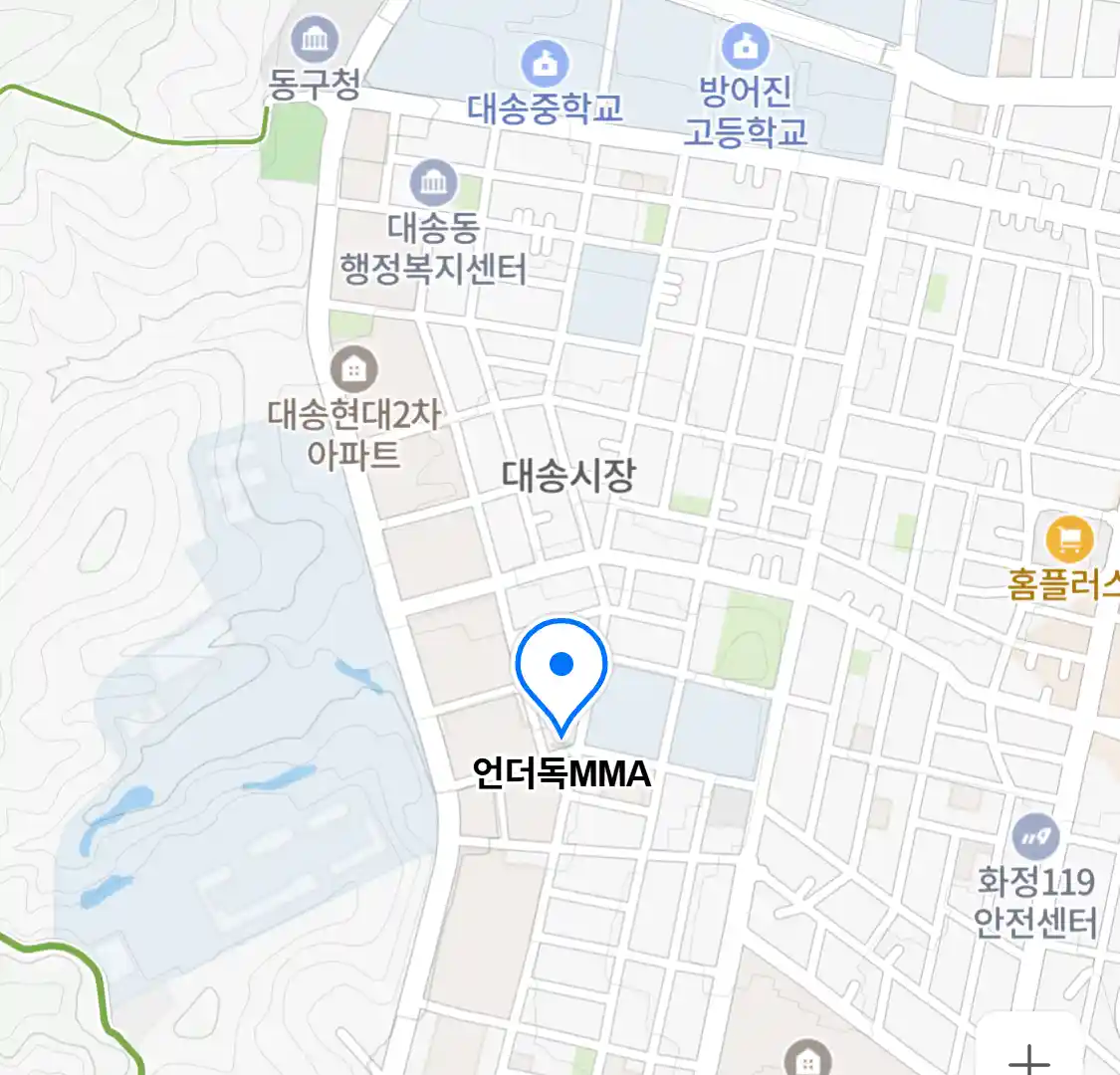 언더독MMA