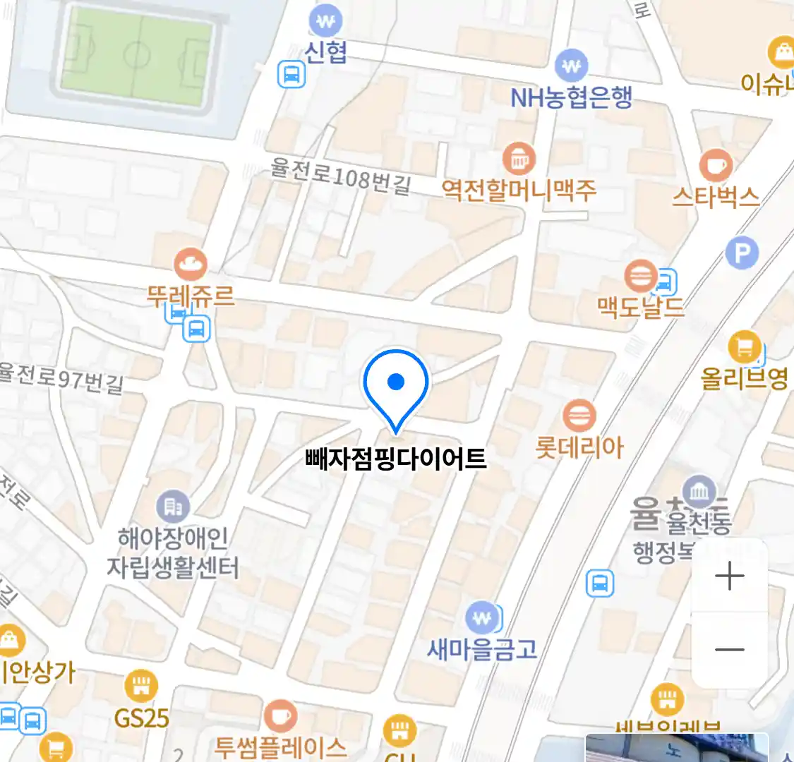 빼자점핑다이어트