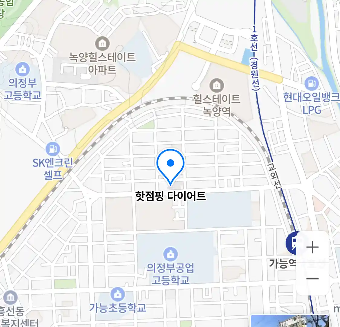 핫점핑 다이어트