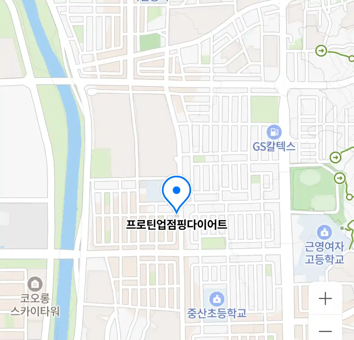 프로틴업점핑다이어트