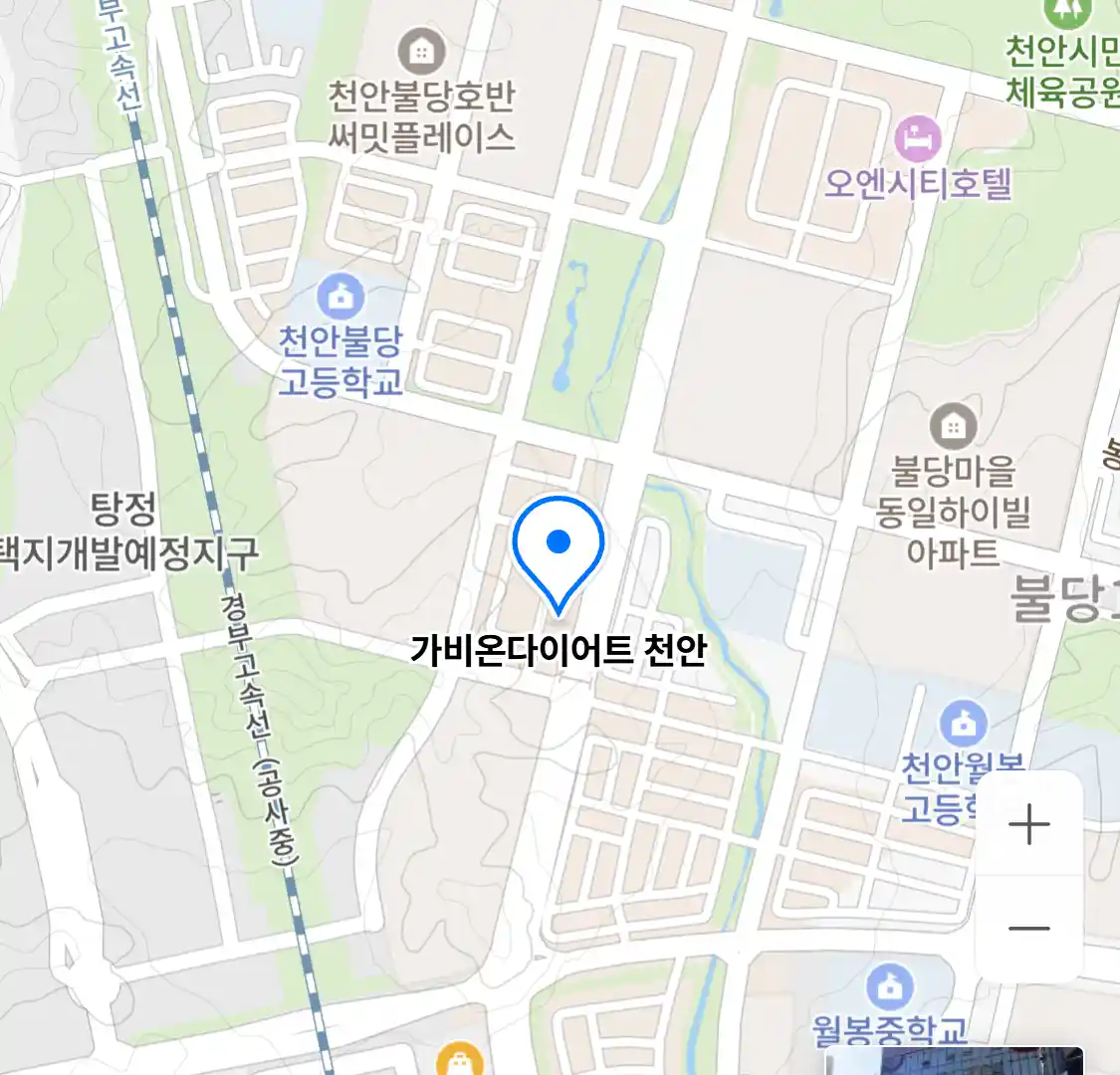 가비온다이어트 천안