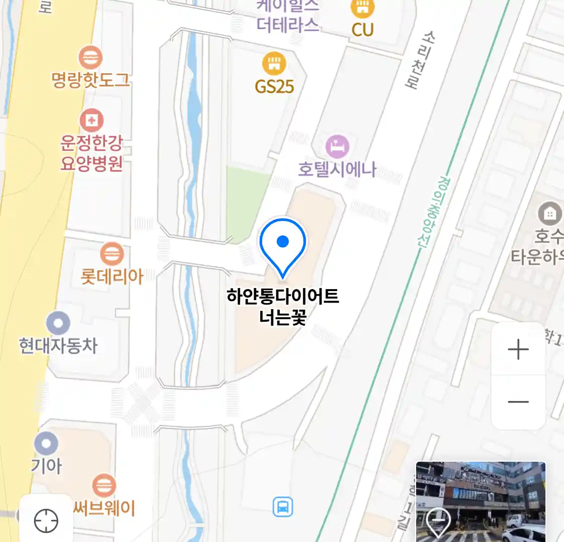 하얀통다이어트 너는꽃