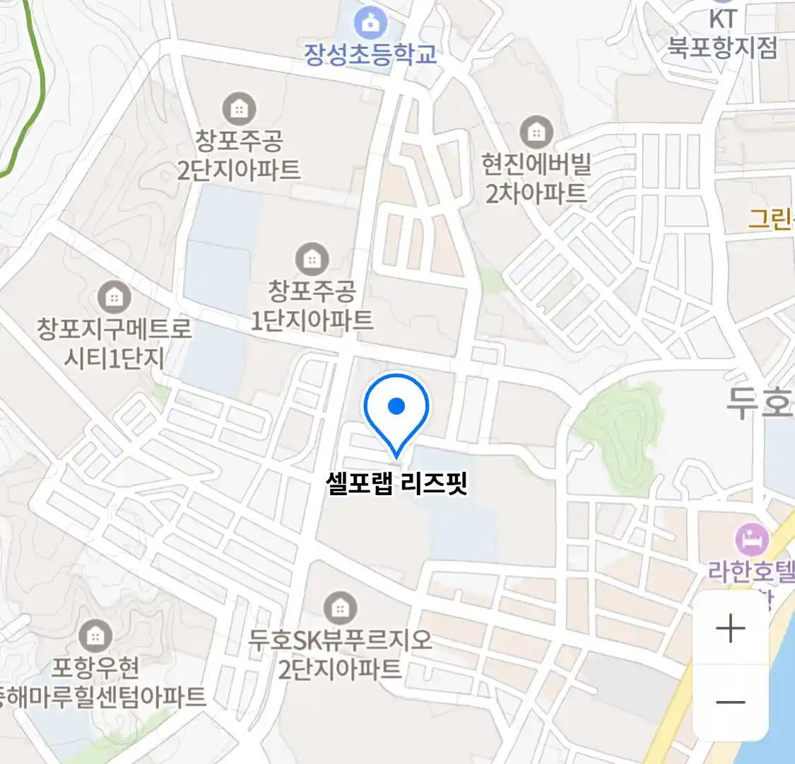 셀포랩 리즈핏