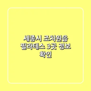 세종시 조치원읍 필라테스 3곳 정보 확인