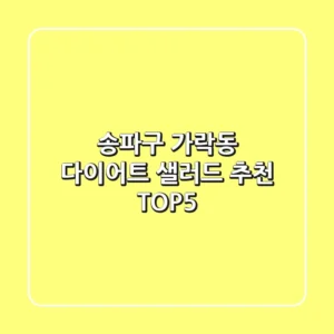 송파구 가락동 다이어트 샐러드 추천 TOP5