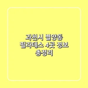 과천시 별양동 필라테스 4곳 정보 총정리