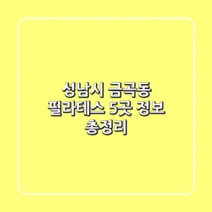 성남시 금곡동 필라테스 5곳 정보 총정리